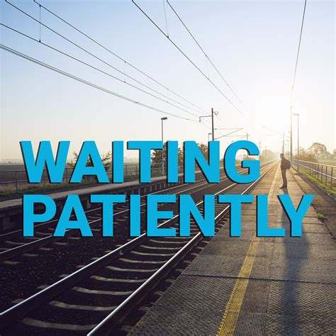Richard Nordquist. Updated on April 06, 2019. The words "patience" and "patients" are homophones: They sound the same but have very different meanings. The noun "patience" refers to the ability to wait or endure hardship for a long time without becoming upset. The noun "patients" is the plural form of "patient"—someone who …